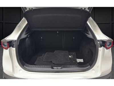 2025 Mazda Mazda CX-30 2.5 S Premium Package