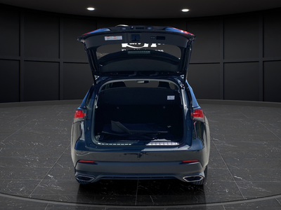 2020 Lexus NX 300 Base