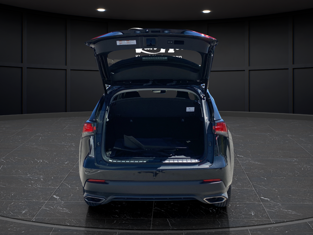 2020 Lexus NX 300 Base