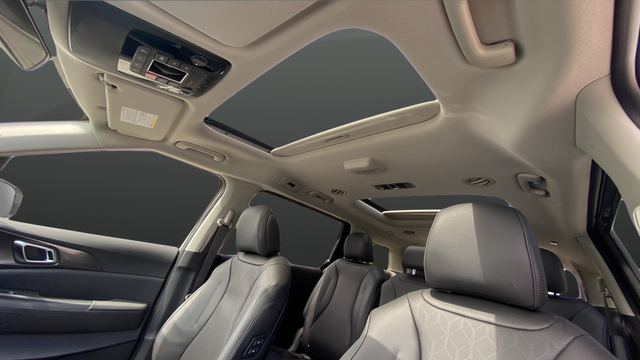 2026 Kia Carnival SX