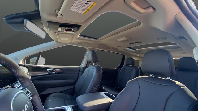 2026 Kia Carnival SX