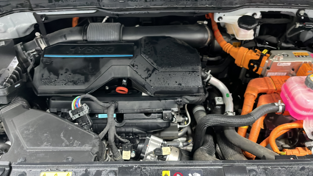 2025 Kia Carnival Hybrid SX Prestige