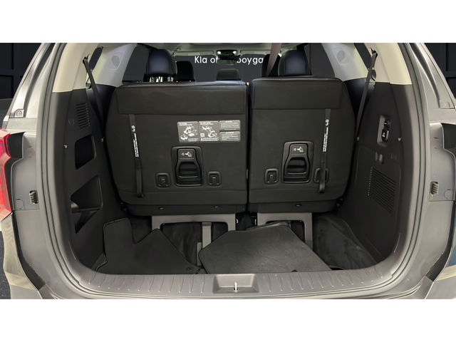 2025 Kia Carnival Hybrid SX