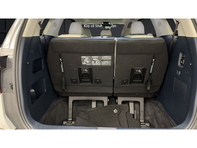 2025 Kia Carnival Hybrid SX Prestige