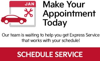 Make Your Appointment Today